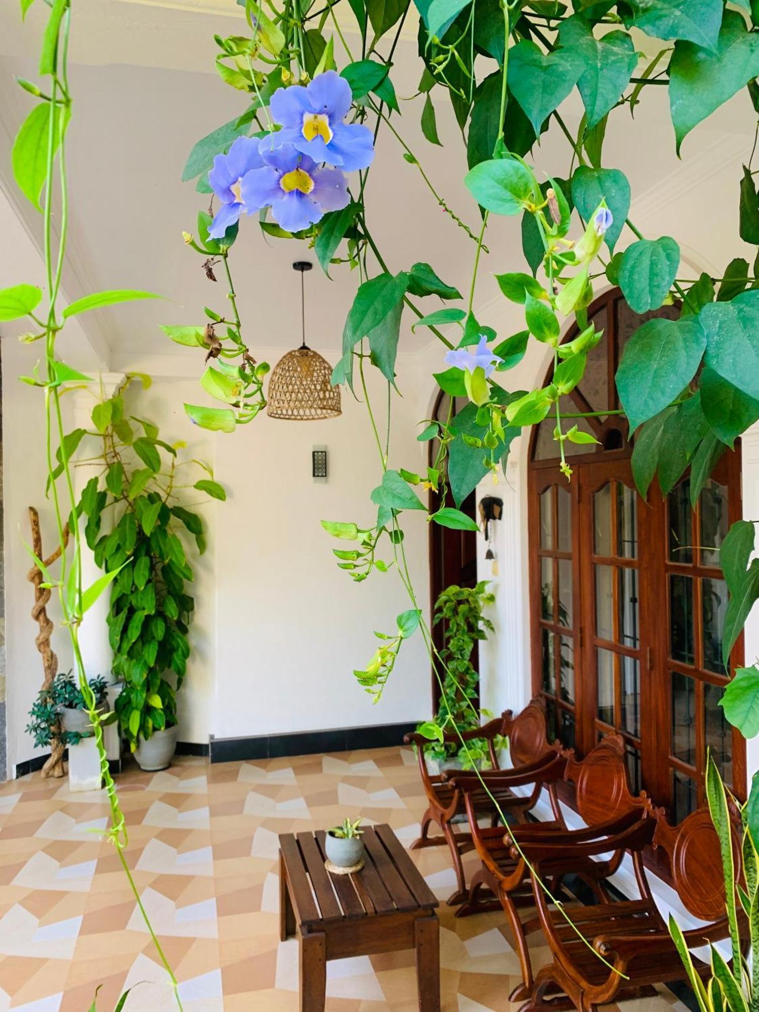 Breeze Bay Villa Dikwella Ngoại thất bức ảnh